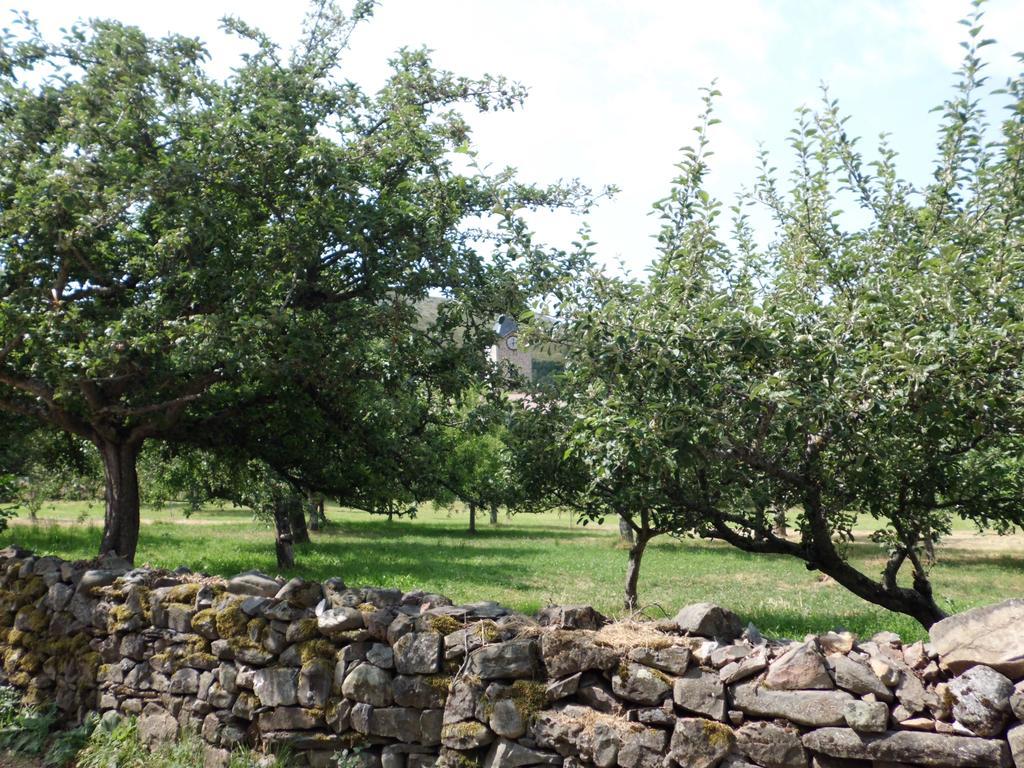 Casa Rural La Altanera Barniedo de la Reina ภายนอก รูปภาพ